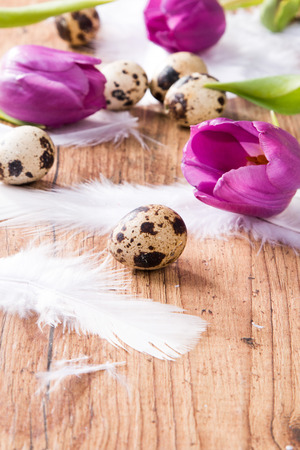 Easter eggs and flower on wooden table. Spring concept on plank.の写真素材