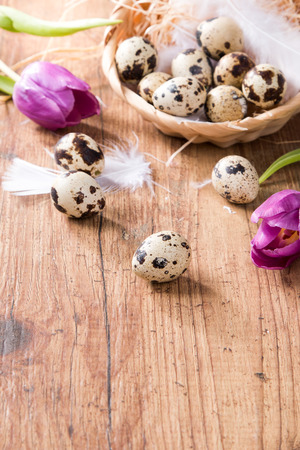 Easter eggs and flower on wooden table. Spring concept on plank.の写真素材