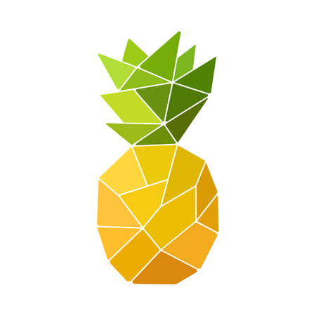 vector illustration of a pineapple in an abstract styleのイラスト素材