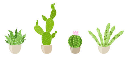 Vector illustration of cacti, cactus collectionのイラスト素材
