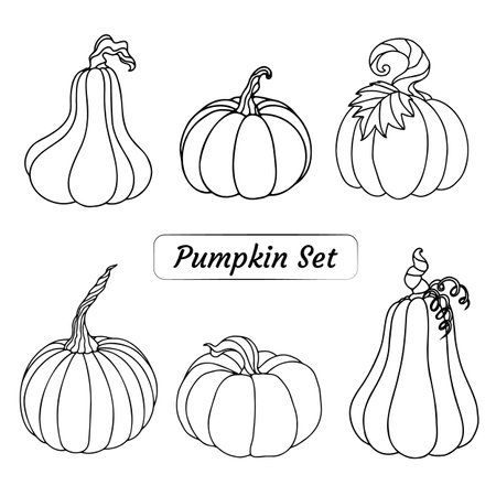 A set with pumpkins for autumn, an illustration with pumpkinsのイラスト素材