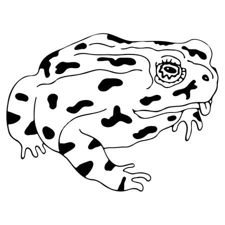 Doodle icon toad, frog, amphibianのイラスト素材