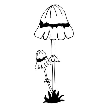 mushroom toadstool doodle vector illustration mushroom iconのイラスト素材