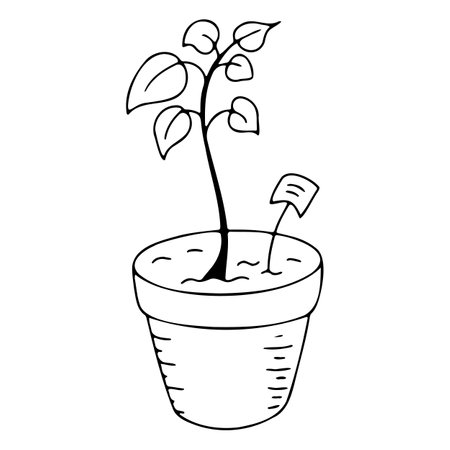Garden potted plant doodle icon, decoration and decor, garden and vegetable garden iconのイラスト素材