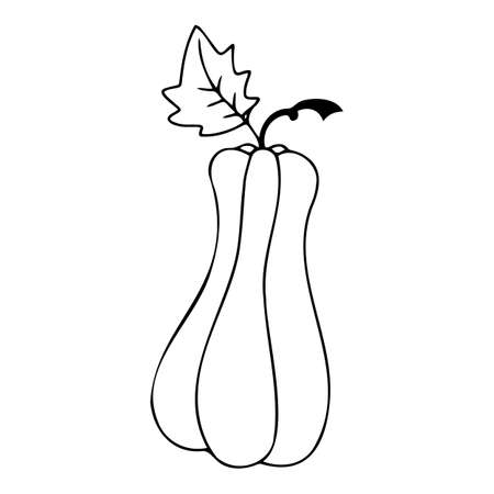 Gardening gloves, gardening tools, garden and vegetable garden iconsのイラスト素材