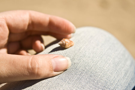 Small seashell held between fingers. Macro shot, detail, and a sense of wonder.Small seashell held...