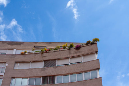 Building corner with rooftop plants, viewed from below. Urban perspective, architectural design, and...