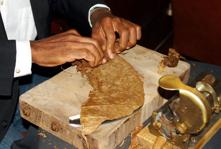 close up of tobacconist's  hands whith a cigar on the wood plankの写真素材