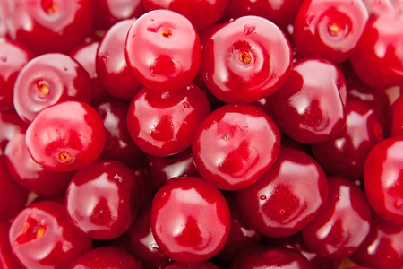 Background of red cherries with water drops