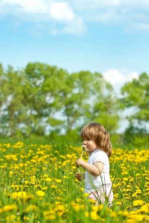 Little girl in a dandelion meadow smelling blossomの写真素材