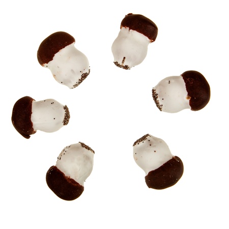 Cookie mushrooms with chocolate aranged in circle isolated over whiteの写真素材