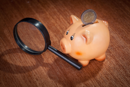 Piggy bank holding two euro coin on her back and magnifying glassの写真素材