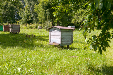Old hives on countryside meadowの写真素材