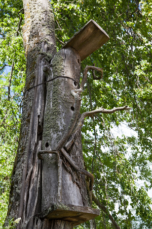 Bird house made of old log on a tree trunkの写真素材