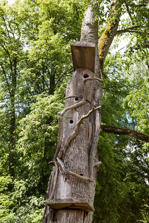 Bird house made of old log on a tree trunkの写真素材