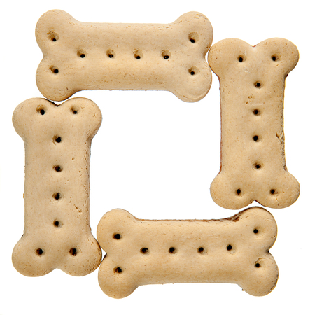 Frame of bone shaped dog bisquits isolated over whiteの写真素材