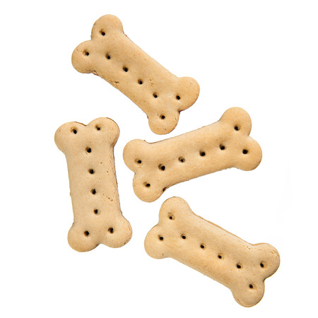 Four bone shaped dog bisquits isolated over whiteの写真素材