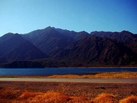 potretillosの写真素材