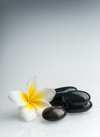 Spa theme - stones and a Plumeria flowerの写真素材