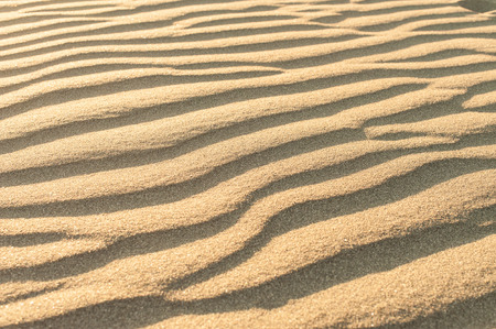 Sandy waves