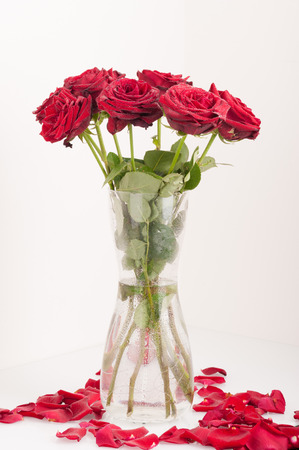 Bouquet of roses, wet with dewの写真素材