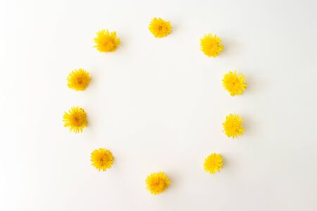 Wreath with spring yellow dandelion flowers flat lay on white background top view with copy space. Flowers frame composition. Floral nature layout. Ecology, organic background. Stock photo.の写真素材