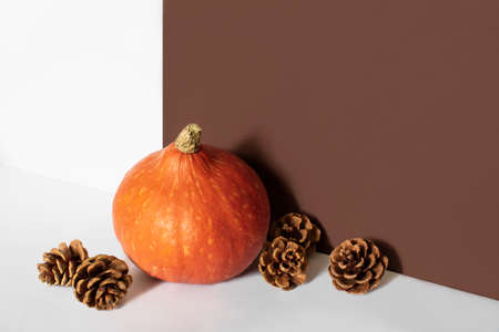 Orange pumpkin and fir cones in front of brown and white background with copy space. Autumn harvest. Halloween, thanksgiving holidays. Creative autumn composition, decorations. Stock photo.の写真素材
