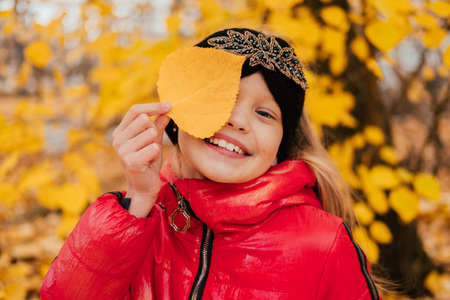 Laughing little girl holding yellow leaf near face and cover one eye. Happy child playing in autumn forest. Smiling kid having fun outdoors. Red jacket, knitted headband, black pants.の写真素材