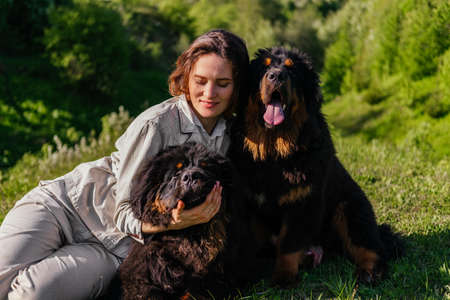 Smiling woman in casual clothes playing with Tibetian mastiff dogs sitting on grass outdoors.の写真素材