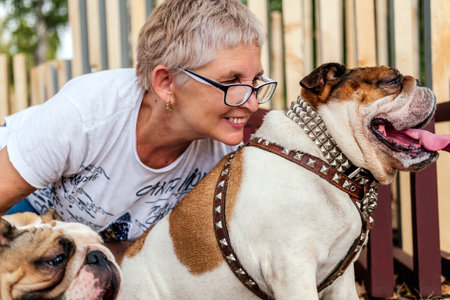 Smiling senior woman hugging with british bulldogs outdoors. Woman playing dog in parkの写真素材