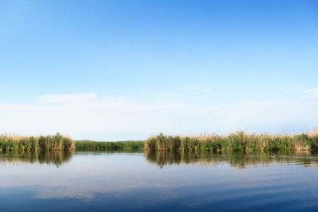 River landscape, clear blue sky, the waves on the water, river, green tourism, travel along the river, boating, summer sunny day after the storm, a harbor for ships, aquatic vegetation.の写真素材