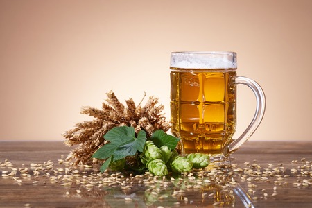 A glass of beer with a fresh, foamy beer in a glass mug, ears of wheat, ripe fruit hops, brewing ingredients, a wooden tableの写真素材