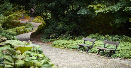 An ancient bench, a stone pavement, a resting place in the park, autumn foliage, garden furniture on the path.の写真素材
