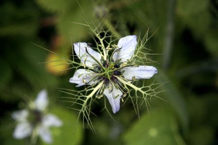 Fragile