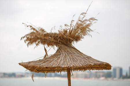 Straw beach umbrellas on a background of the cloudless skyの写真素材