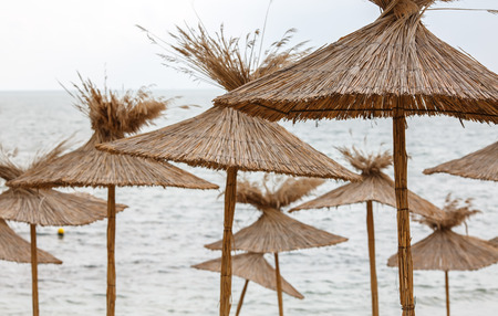 Straw beach umbrellas on  the cloudless skyの写真素材