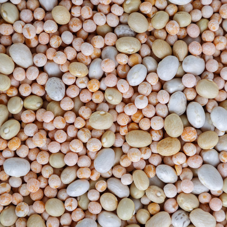 Abstract background texture. Mixed dried beans. Yellow peas and haricot.