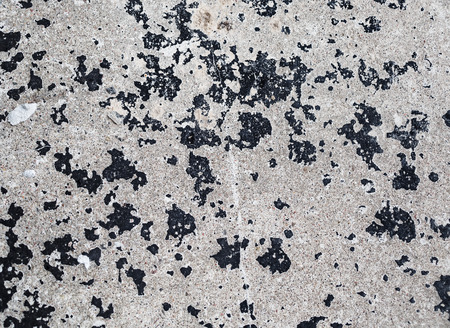 Old grunge background. Cement plaster wall texture background.の写真素材