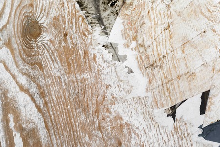 Old grunge wooden surface with tattered paper.の写真素材
