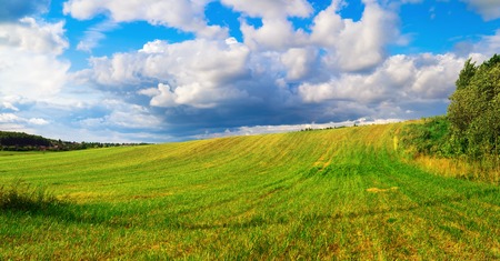 Bright green grass and cumulus clouds. Hill and blue sky. Summer landscape. Panoramic shot.