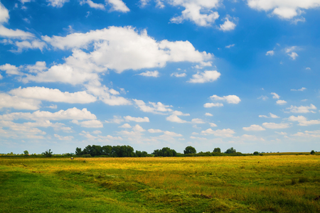 Summer rural landscape. Blue sky with cumulus clouds and a grass field. Trees on the horizon.の写真素材