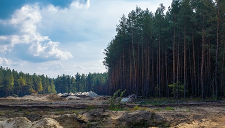 Scenic forest landscape. Sandy quarry on the background of pine forest and cloudy sky.