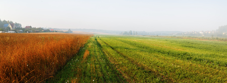 Field and fog. Panoramic shot of the rural landscape. Foggy sunny morning. Panorama shot.の写真素材