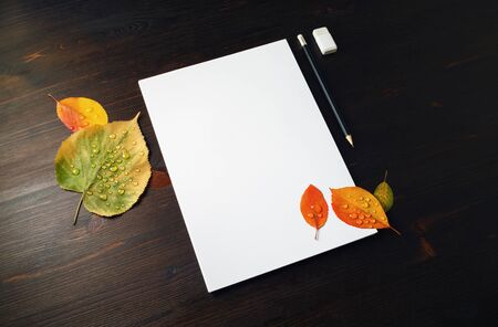 Blank stationery set: letterhead, pencil, eraser and autumn leaves with water droplets on wood table background. Template for placing your design.の写真素材