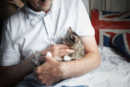Cute tabby kitten in male hands. Cat is in the man's arms.の写真素材