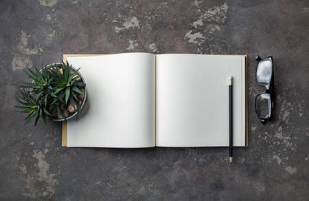 Photo of blank book, succulent plant, pencil and glasses on concrete background. Responsive design...