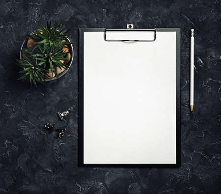 Clipboard with blank letterhead, pencil and succulent plant on black plaster background. top view.の写真素材