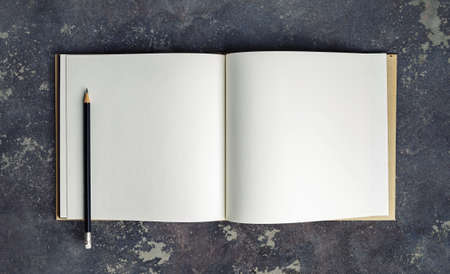 Blank book and pencil mock up on concrete background. top view.の写真素材