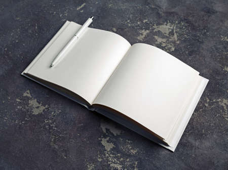 Blank brochure and pen on concrete background. Responsive design mockup.の写真素材