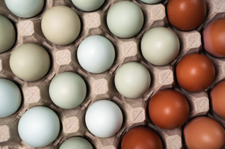Top view of raw fresh chicken eggs in cartons tray. flat lay.の写真素材